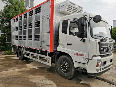 曲靖猪苗运输车价格及猪仔调运车厂家概览，兼谈吸污车市场